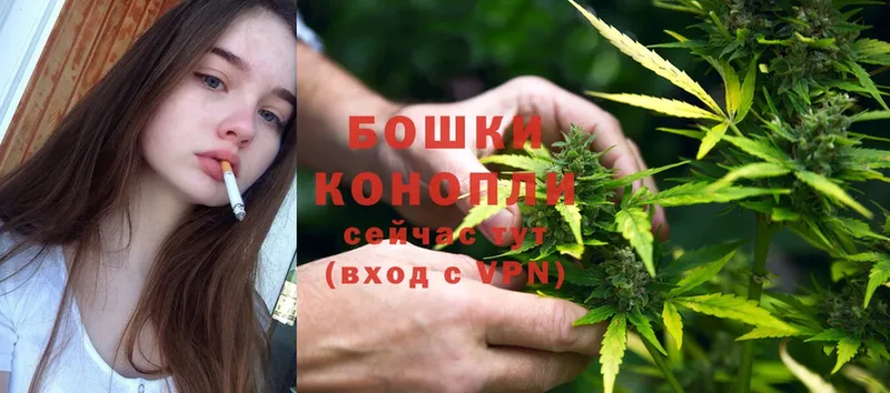 Бошки Шишки индика  Электросталь 